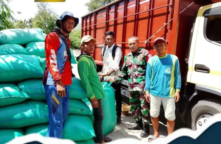 Program SERGAP Dorong Serapan Gabah Petani dan Stabilkan Harga di Majalengka