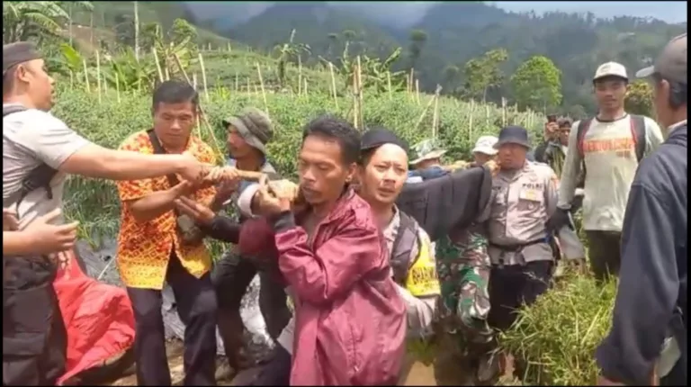 Pendaki Hilang di Gunung Cikurai Ditemukan Selamat Setelah Dua Hari Pencarian Pendaki Hilang di Gunung Cikurai
