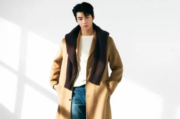 Cha Eun Woo telah mengikuti wawancara band militer