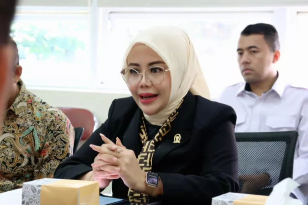 Anggota DPD RI, Aanya Rina Casmayanti