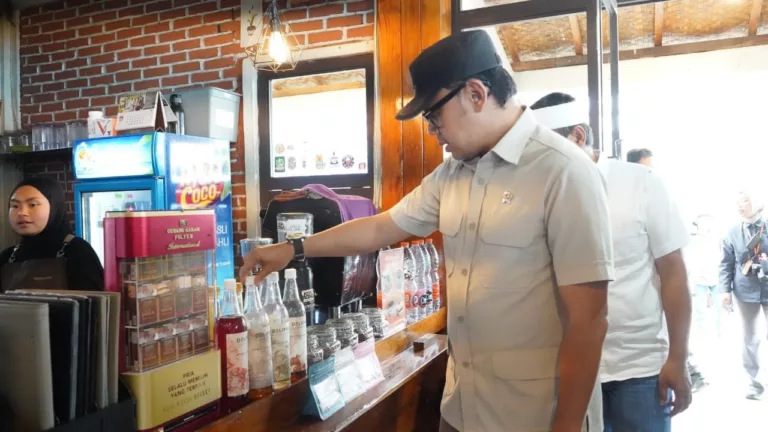 Wakil Menteri Dalam Negeri (Wamendagri), Bima Arya Sugianto.