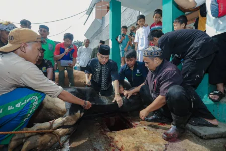 Kurban di Bandung Berlangsung Tertib, Pemkot Kawal Hingga Hari Tasyrik Kurban di Bandung Berlangsung Tertib, Pemkot Kawal Hingga Hari Tasyrik