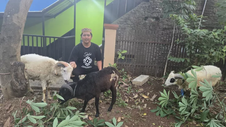 Aa Abdul Rozak Berkurban 5 Ekor Kambing: Wujud Kepedulian Wakil Rakyat PKB Kota Bandung untuk Masyarakat