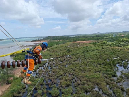 Wujud Kontribusi ke Negara, PLN Setor Rp65,59 Triliun Lewat Dividen, Pajak, dan PNBP