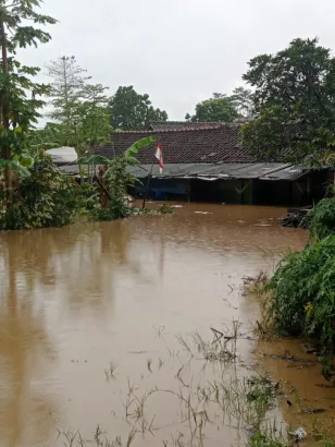 Hujan Deras Sebabkan Sungai Cimanuk Meluap, Ratusan Rumah Warga di Garut Terendam Banjir