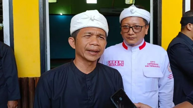 Bupati Purwakarta, Saepul Bahri Binzen