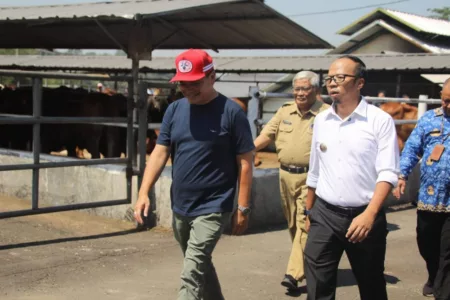 Pemeriksaan Kesehatan Hewan Kurban Diperketat Jelang Idul Adha di Tasikmalaya Pemeriksaan Kesehatan Hewan Kurban Diperketat Jelang Idul Adha