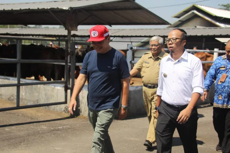 Pemeriksaan Kesehatan Hewan Kurban Diperketat Jelang Idul Adha di Tasikmalaya Pemeriksaan Kesehatan Hewan Kurban Diperketat Jelang Idul Adha