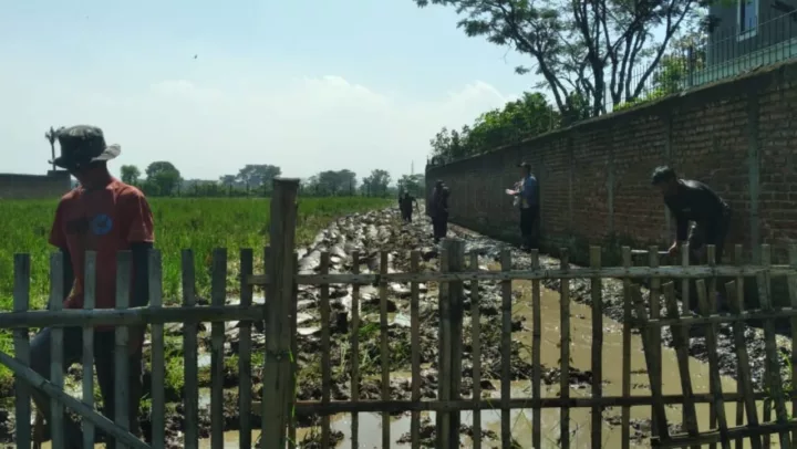 Rohman dan Rekan-rekan Buruh Tani Dapat Upah Harian Rp 70 Ribu.j