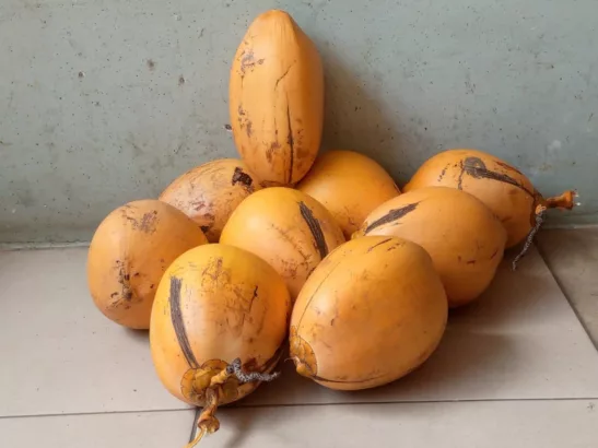 Simbol Tradisi Muharaman dari Kabuyutan Gegerkalong, Wujud Syukur dan Doa untuk Bangsa