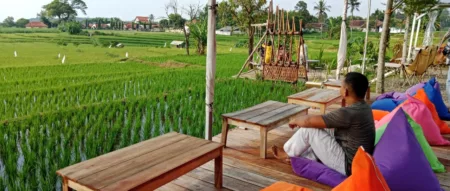 Teras Sawah, Alternatif Wisata Edukasi Lokal di Majalengka Teras Sawah, Alternatif Wisata Edukasi Lokal di Majalengka