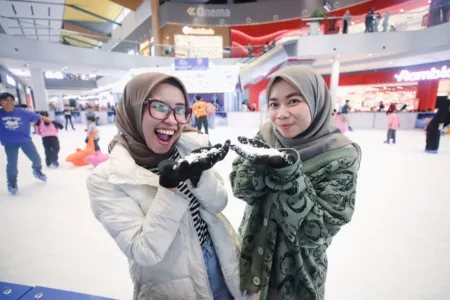 Ice Wonderland