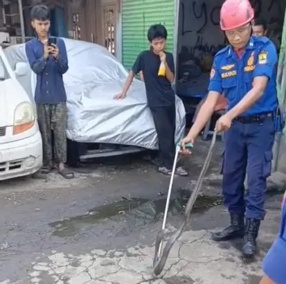 Aksi Heroik Damkar Karawang Evakuasi Ular Kobra Sepanjang 2 Meter dari Bengkel