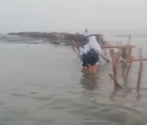 Pelajar di Karawang Terobos Banjir Rob Tanpa Alas Kaki, Akses Pendidikan Dikepung Krisis Infrastruktur