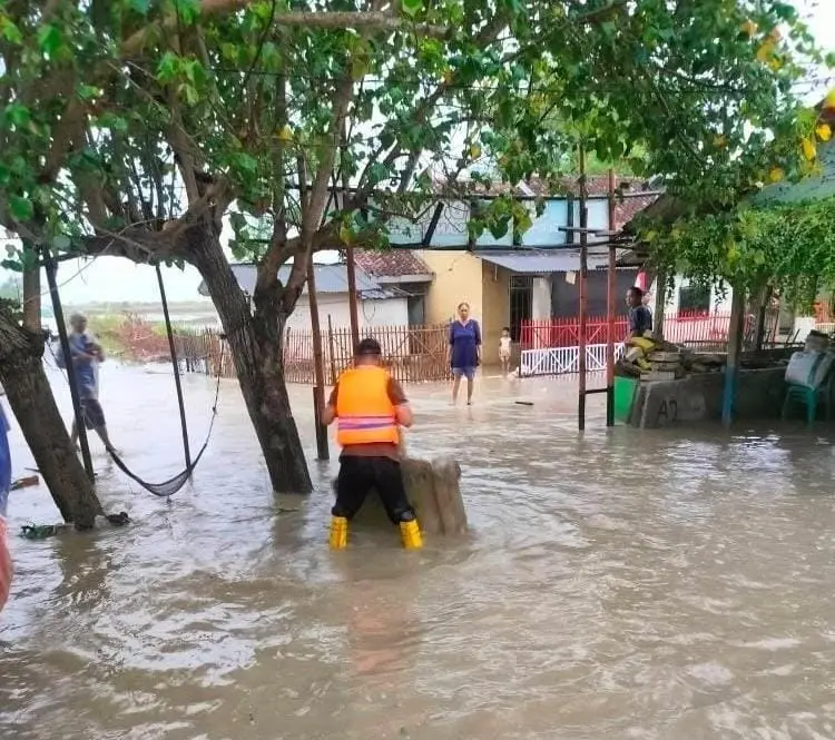 Banjir Rob Rendam Pesisir Karawang, Warga Bertahan Meski Aktivitas Terganggu