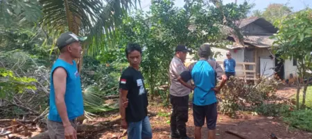 Pria di Garut Tersengat Listrik Saat Tebang Pohon, Dilarikan ke RSUD Pameungpeuk Pria di Garut Tersengat Listrik Saat Tebang Pohon, Dilarikan ke RSUD Pameungpeuk