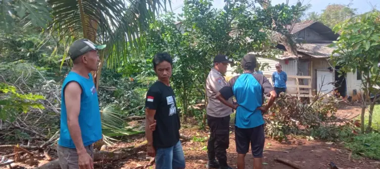 Pria di Garut Tersengat Listrik Saat Tebang Pohon, Dilarikan ke RSUD Pameungpeuk Pria di Garut Tersengat Listrik Saat Tebang Pohon, Dilarikan ke RSUD Pameungpeuk