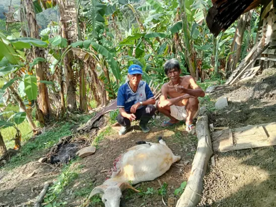 salah seorang warga pemilik ternak kambing yang jadi korban macan tutul