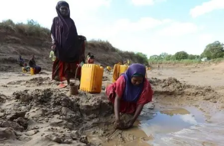 PBB Peringatkan Krisis Ganda di Somalia: Kekeringan Parah dan Minimnya Dana Kemanusiaan PBB Peringatkan Krisis Ganda di Somalia: Kekeringan Parah dan Minimnya Dana Kemanusiaan