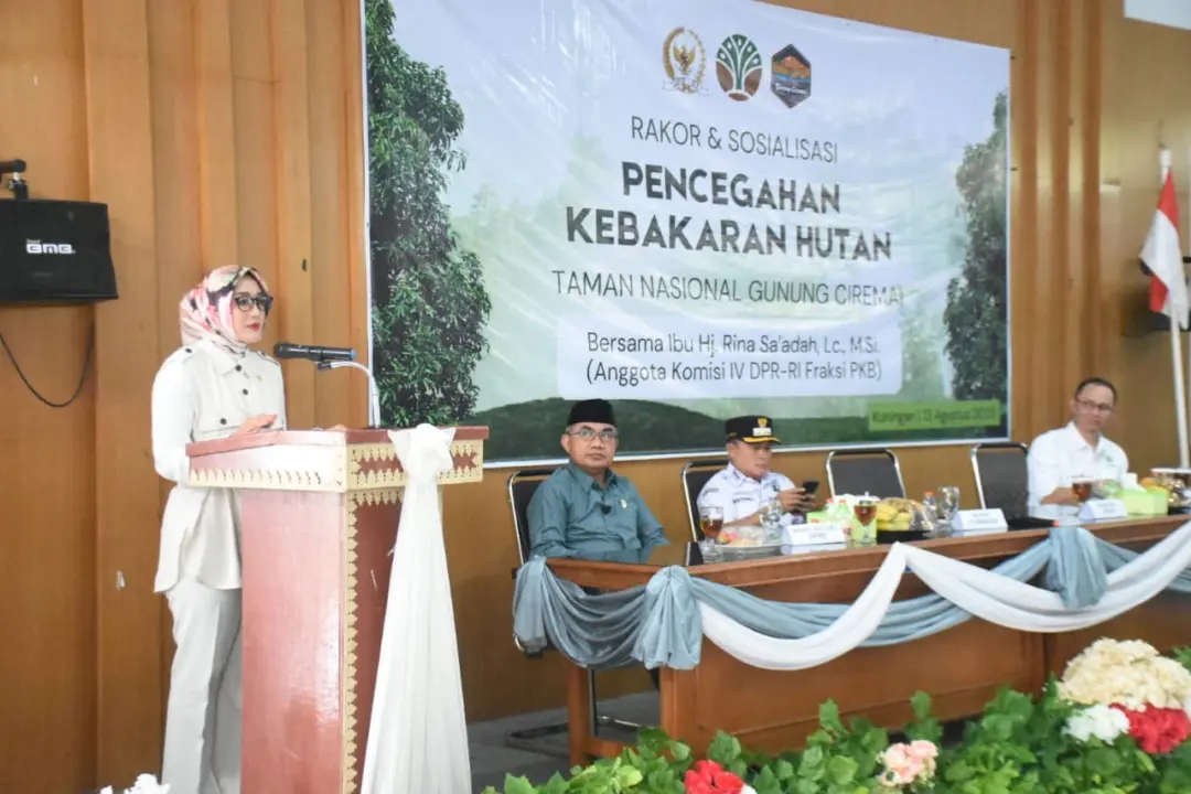 Hj Rina Sa'adah Anggota DPR RI Fraksi PKB