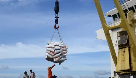 Mentan: Indonesia Tak Akan Impor Beras Pekerja menurunkan beras yang dikirim dari luar negeri. Tahun ini, Indonesia tak akan melakukan impor beras. (istimewa)