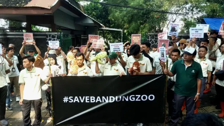Derita Sunyi di Balik Pagar Terkunci Bandung Zoo