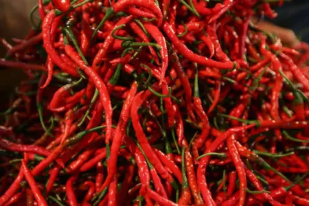 Cabai rawit merah. (istimewa)