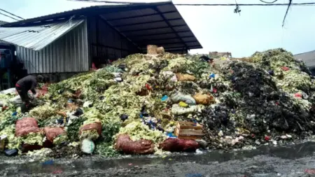 215 Tahun Kota Bandung: Sampah dan Banjir Terus Menjadi Ujian Waktu 215 tahun berdiri, sampah dan banjir selalu menjadi masalah utama Kota Bandung