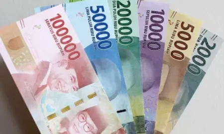 Cara Cek Bansos Rp600 Ribu via KTP, Warga Bandung Bisa Akses Online dari HP Ilustrasi Bansos (Pexels/Defrino Maasy)