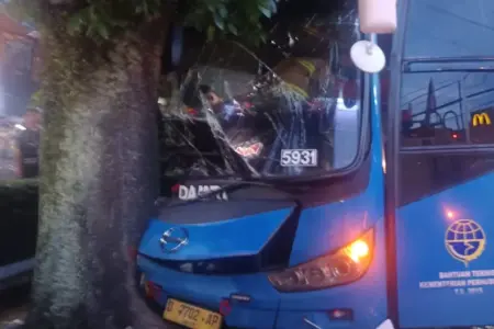 Bus Damri Tabrak Pohon di Jalan Setiabudi, Sopir Luka Ringan