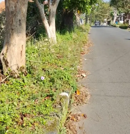 Trotoar di Jalan Cigugur Kuningan Tak Terawat, Warga Soroti Kinerja Pemkab