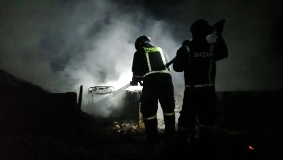 Ribuan Ayam Calon Petelur Hangus Terbakar di Kuningan, Kerugian Capai Rp330 Juta