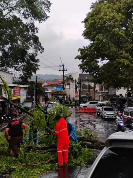 BPBD Kuningan Imbau Warga Waspada Cuaca Ekstrem, Puluhan Pohon Tumbang dan Longsor Terjadi BPBD Kuningan Imbau Warga Waspada Cuaca Ekstrem, Puluhan Pohon Tumbang dan Longsor Terjadi