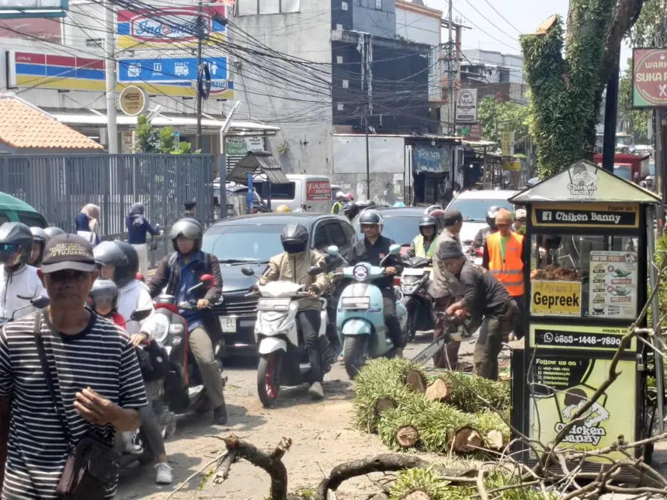 Penebangan Ranting Kering Sebabkan Kemacetan di Jalan Cikutra