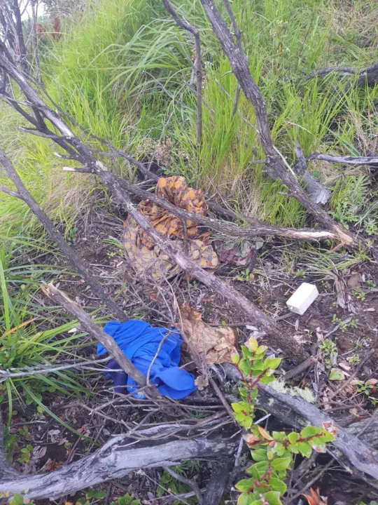 Mayat Ditemukan di Kawasan Kawah Gunung Ciremai, Kondisi Mengenaskan