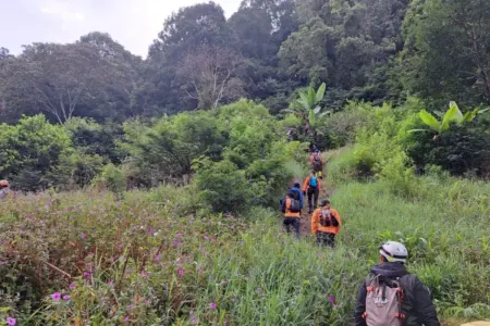 Dua Pendaki Ayah dan Anak Hilang di Lembah Tengkorak, Tim SAR Lakukan Pencarian di Medan Sulit