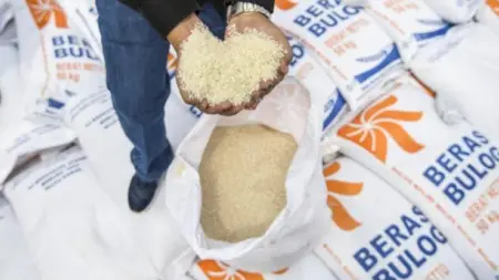 Dukung MBG, Bulog Siapkan Beras Berkualitas Bulog siapkan beras berkualitas untuk mendukung pelaksanaan Makan Bergizi Gratis. (istimewa)