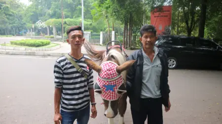 Wisata Kuda Tunggang Tergerus, Kusir Bandung Terancam Kian Terpinggirkan