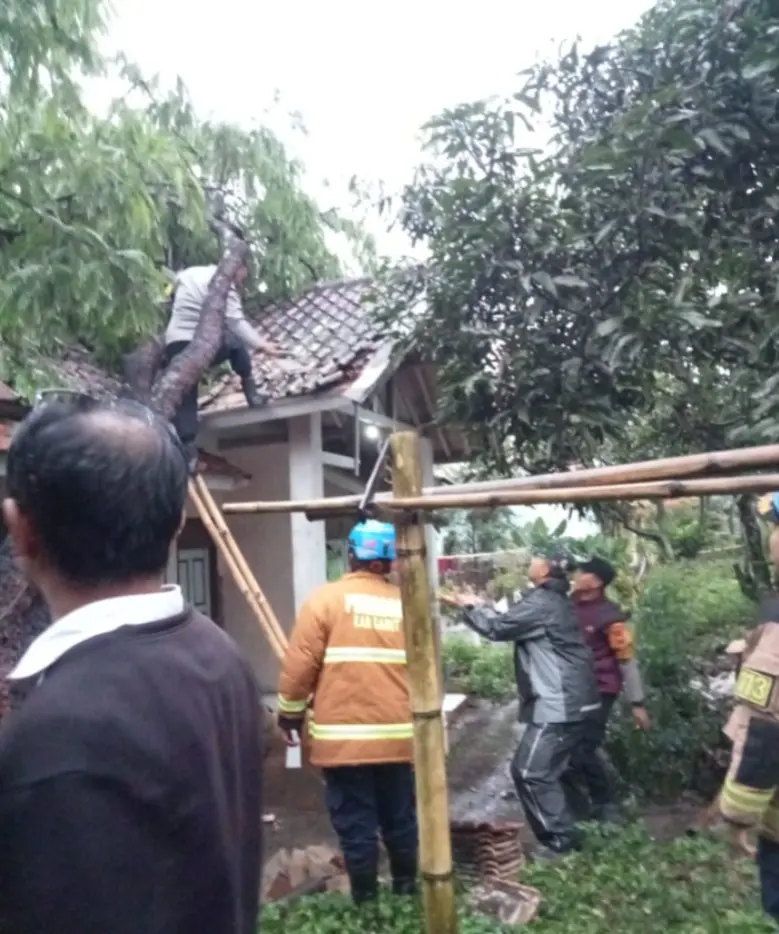 Hujan Deras Disertai Angin Kencang di Banyuresmi, Pohon Tumbang Timpa Rumah Warga Hujan Deras Disertai Angin Kencang di Banyuresmi, Pohon Tumbang Timpa Rumah Warga