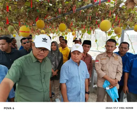 BUMDes Mustika Jaya Desa Kasturi Jadi Inspirasi Penggerak Ekonomi Lokal Lewat Melon Premium dan Pujasera BUMDes Mustika Jaya Desa Kasturi Jadi Inspirasi Penggerak Ekonomi Lokal Lewat Melon Premium dan Pujasera