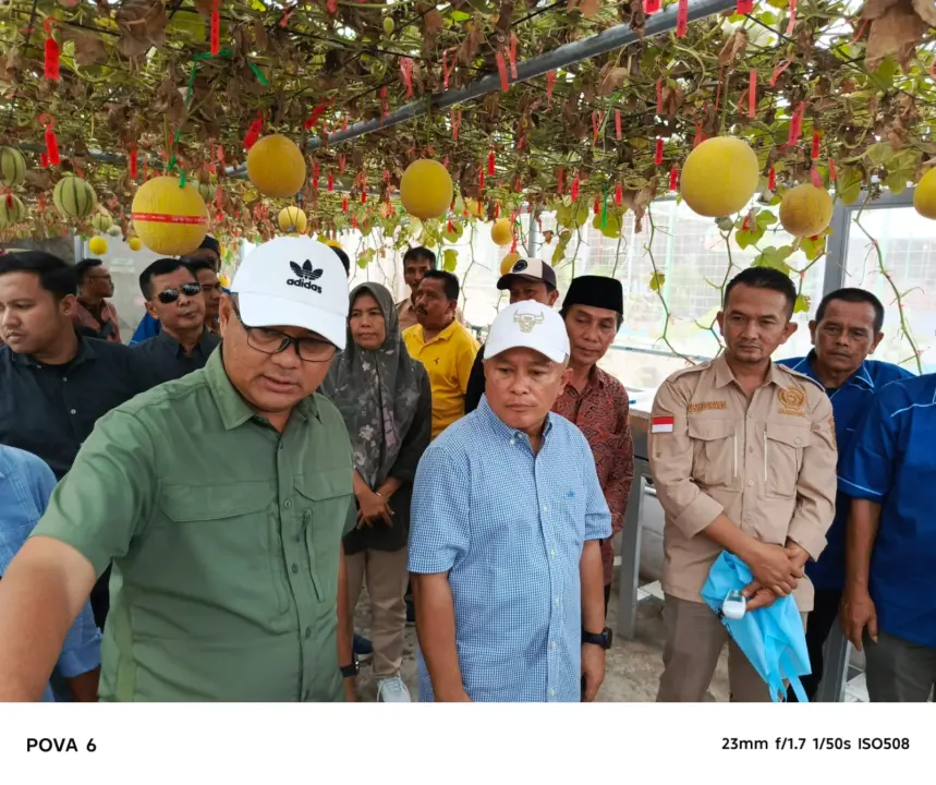 BUMDes Mustika Jaya Desa Kasturi Jadi Inspirasi Penggerak Ekonomi Lokal Lewat Melon Premium dan Pujasera