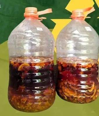 Eco Enzim, Cara Cerdas Ubah Sampah Dapur Jadi Manfaat