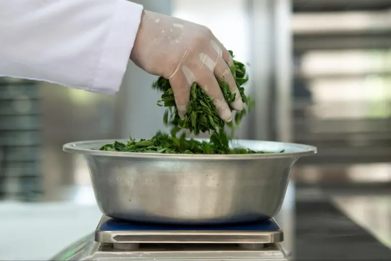 Treelogy Angkat Daun Kelor Jadi Produk Nutrisi Berstandar Internasional