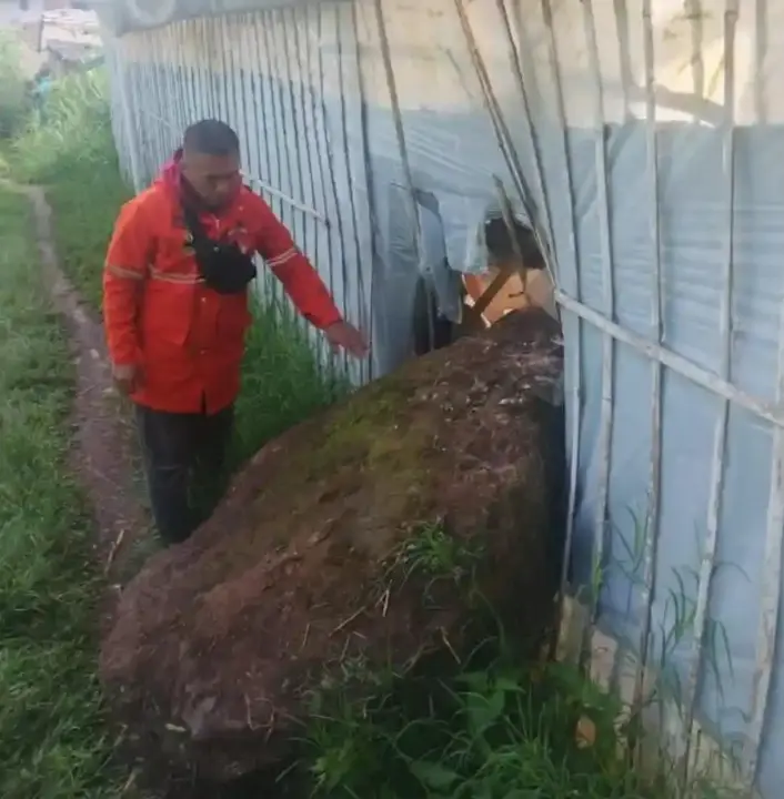 Jatuhan batu (rockfall) di kawasan tebing Gunung Batu, Lembang, Kabupaten Bandung Barat, Sabtu (8/11/2025), menimpa dinding greenhouse kaktus milik warga. (istimewa)