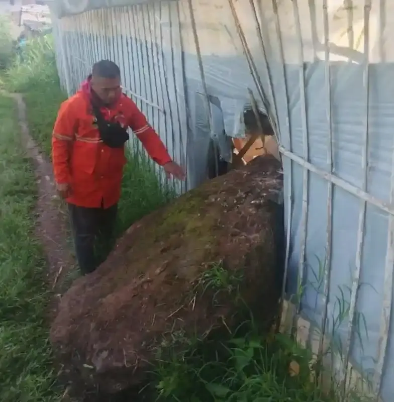 Jatuhan batu (rockfall) di kawasan tebing Gunung Batu, Lembang, Kabupaten Bandung Barat, Sabtu (8/11/2025), menimpa dinding greenhouse kaktus milik warga. (istimewa)