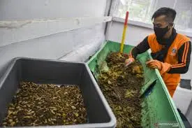 Bandung Magoo Fest 2025 Dorong Edukasi dan Kolaborasi dalam Pengelolaan Sampah