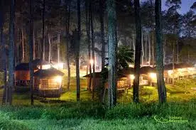 Wisata Grafika Cikole: Glamping di Kaki Gunung