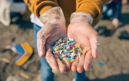 Mikroplastik merupakan partikel plastik berukuran di bawah lima milimeter hingga satu mikrometer. Karena sulit terurai, partikel ini dapat berpindah dari udara ke tanah dan kemudian ke air. (istimewa)