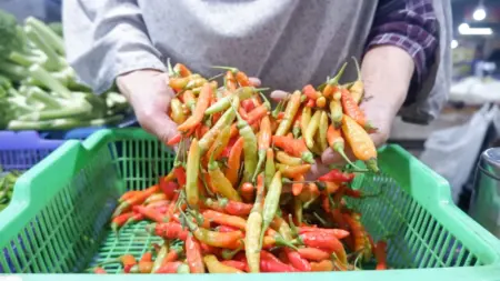 Jelang Nataru, Harga Cabai Rawit Merah Meroket, Tembus Rp100 Ribu Cabai Rawit Merah Meroket Tinggi di Pasar Kosambi