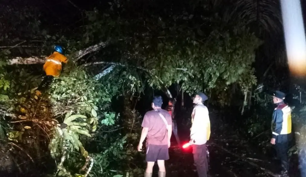 Hujan Deras Picu Longsor di Caringin, Jalur Bungbulang–Caringin Sempat Tertutup